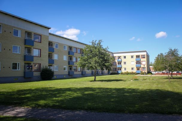 Hedhamregatan 11 C - Foto 1