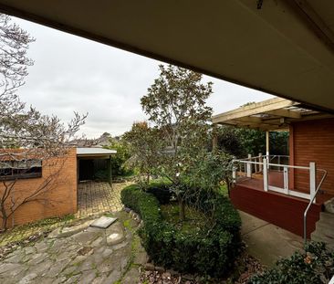 Beautiful 3 Bedroom Home in Prime Location! - Photo 6