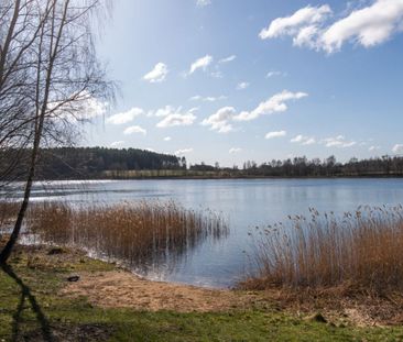 2 pok. Kanarkowa, Gutkowo, zwierzęta mile widziane 45 m² - Photo 3