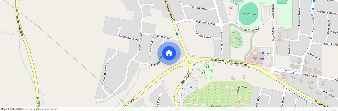 10 Lily Pilly Place, NSW 2800, Orange