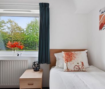 Bedsit, Hodgson Court, HA1 - Photo 6