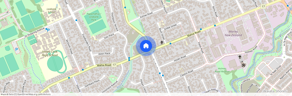 99D Mahia Road, Wattle Downs, Manukau City