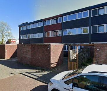 House Lelystad - Texelstroom - Photo 1