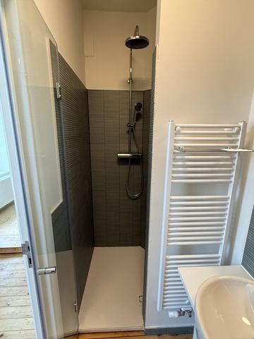 — Papegaaistraat - Photo 4