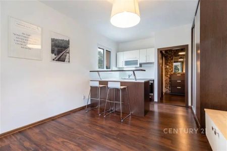 Pronájem zrekonstruovaného bytu 1+kk, 22 m - Fotografie 3
