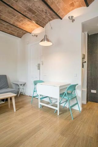 Carrer del Marquès de la Mina, Barcelona, Catalonia 08003 - Photo 4