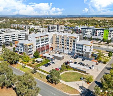 86/170 Flemington Road, Harrison ACT 2914 - Apartment For Rent | Do... - Photo 4