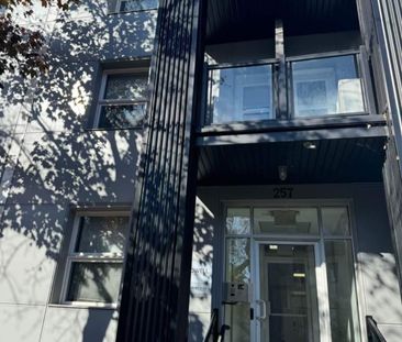 253 York St, Ottawa, ON K1N 5T9 - Photo 6