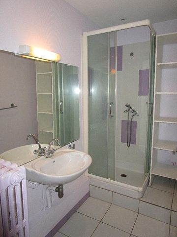 Location Appartement 1 pièce 31m² RENNES 35000 - Photo 3