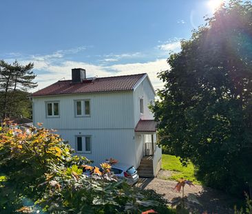 Skogsvägen 3 - Photo 5