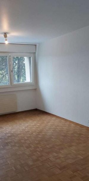 Appartement de 2 pièces en campagne - Thônex - Photo 1