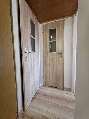 MIESZKANIE na WYNAJEM - Photo 1