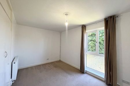 Redwood Lane - Photo 3