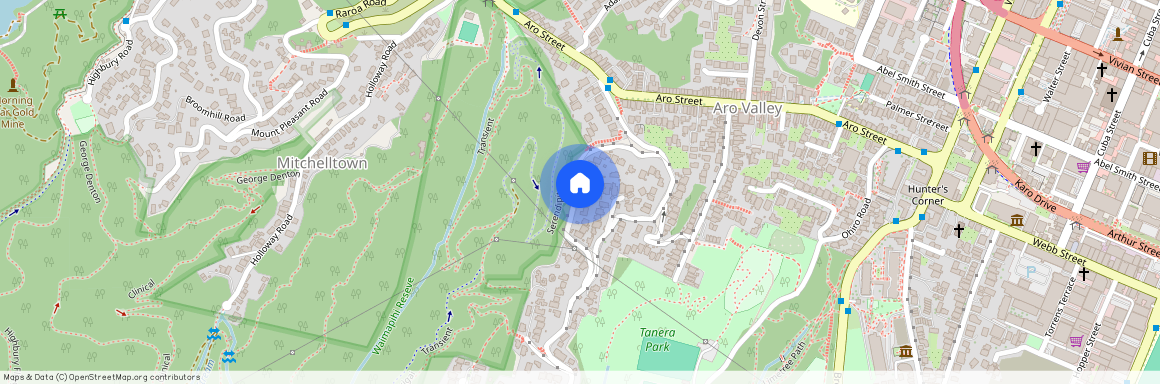 53 Durham Street, Aro Valley, Wellington City