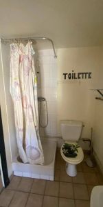 Location appartement 1 pièce 26.45 m² à Crest (26400) - Photo 4