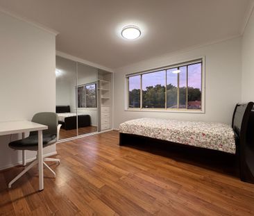 Belmore - Photo 5