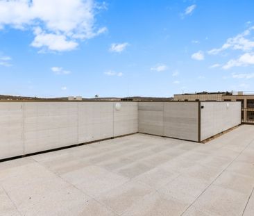 3 bedroom penthouse to rent - Photo 3