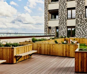 One Bedroom Apartments - Photo 6