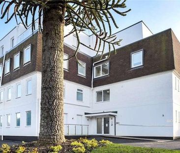 Winchester Road, Basingstoke, RG21 - Photo 3