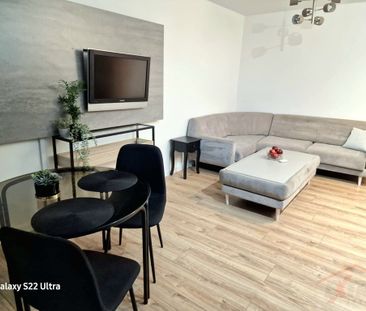 Mieszkanie na wynajem od stycznia (437704) - Фото 1