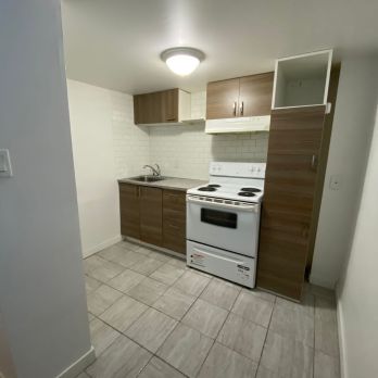 Fully Renovated 3 1/2 Unit - Photo 1