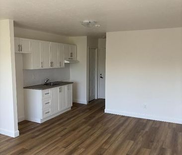 À louer – 3 ½ rénové au complet - Photo 2
