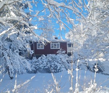 Tussilagovägen, Gråbo - Photo 4