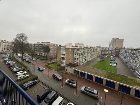 Te huur: Appartement Landréstraat 1023 in Den Haag - Foto 2