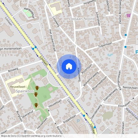 Piet Joubertstraat 6-D, Loolaan-Noord, 7315AV, Apeldoorn