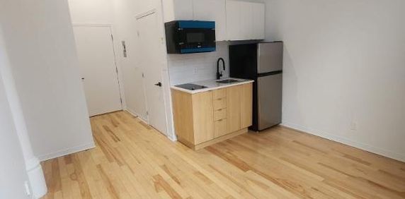 1 CH - 1 SDB - Montréal - $1,195 /mo - Photo 2