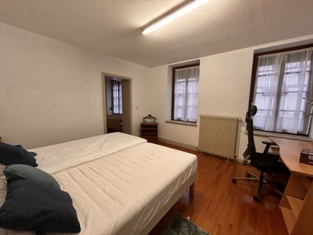 Location Appartement 2 pièces 47m² WISSEMBOURG 67160 - Photo 3