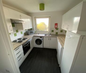 4 bedroom terraced house to rent - Photo 6
