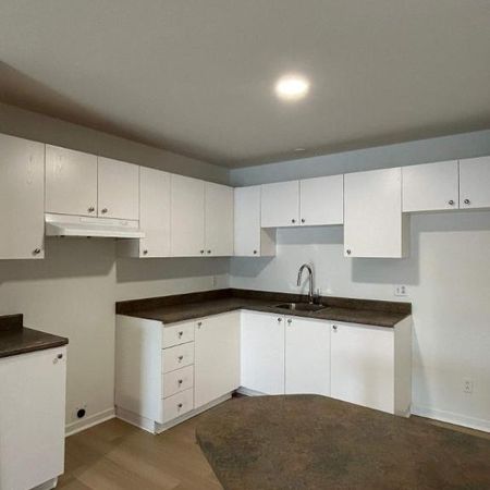 1 CH - 1 SDB - Saint-Charles-Borromée - $1,199 /mo - Photo 3