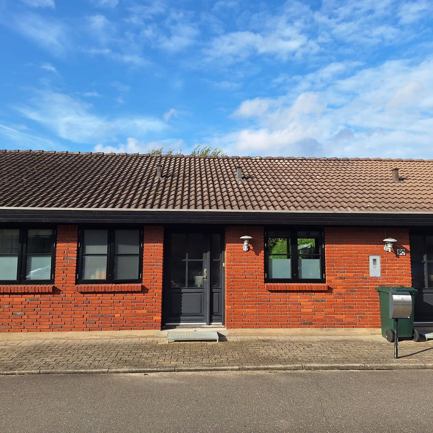 50 Lupinparken, - Photo 1