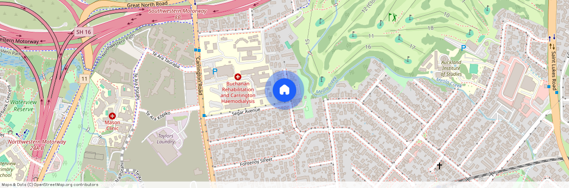 20 Rawalpindi Street, Mount Albert, Auckland City