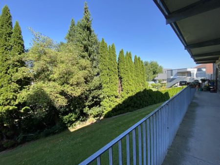 Nachhaltiger Wohntraum in Lustenau – 3 Zimmer-Wohnung mit Lebensqualität! - Foto 4