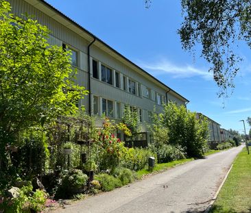 Vikingagatan, Gnosjö - Foto 6