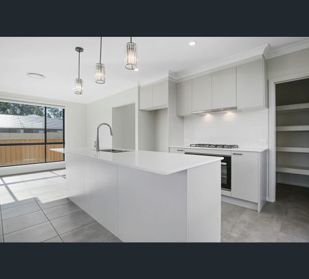 16 Wilga Road, Hamlyn Terrace, NSW 2259 - Photo 4