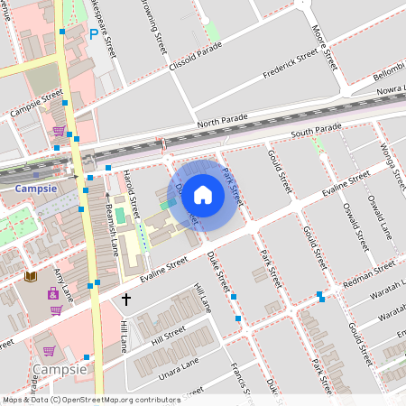 15 Duke Street, NSW 2194, Campsie