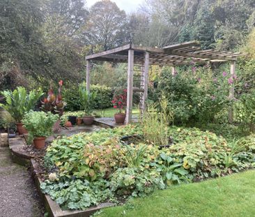 Detached Bungalow available TO LET in Chawton - Photo 3