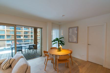 appartement 1 chambre 1 salle de bain grande terrasse - Foto 3