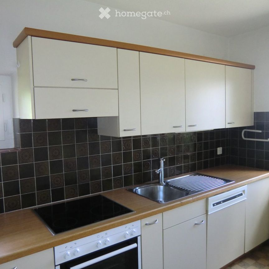 Freistehendes 6Zi-Landhaus mit Seesicht - Photo 1