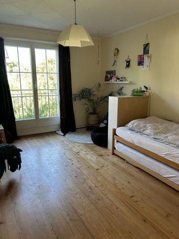 FOR CAT LOVERS IN BERN - WYLERGUT, FURNISHED, TEMPORARY - Photo 4