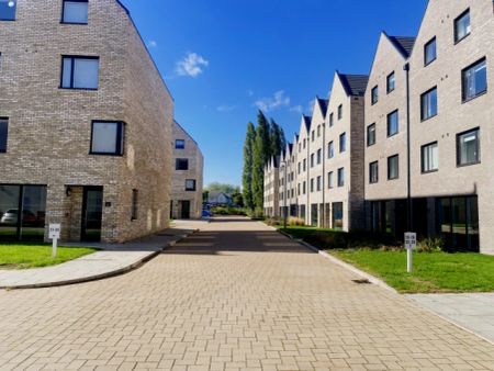 Gold Plus Ensuite - Single Occupancy - Photo 4