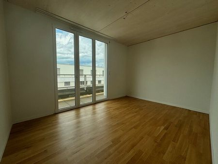 LE TICLE : Appartements neufs à louer - Photo 5