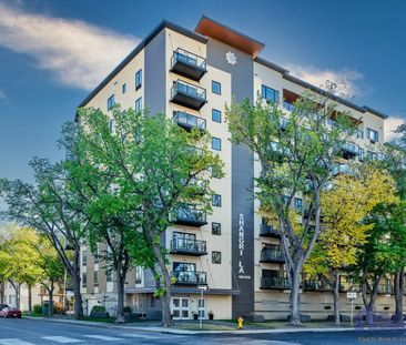 1 Bedroom Condo in City Park - Photo 1