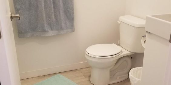 Studio - Montréal - $1,155 /mo - Photo 3