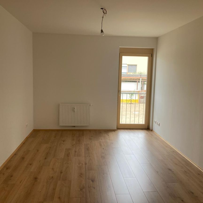 Geförderte Mietwohnung mit Balkon im Stadthaus Vinzenzgasse 81. TOP 6, [GF,VinG] - Photo 1