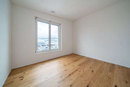 Neubau - Letzte Attikawohnung im idyllischen Winikon - Photo 4