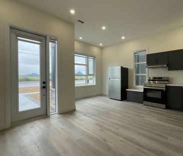 For Lease - 63 Warren Trail Unit# LOWER, Welland, Ontario - Photo 6